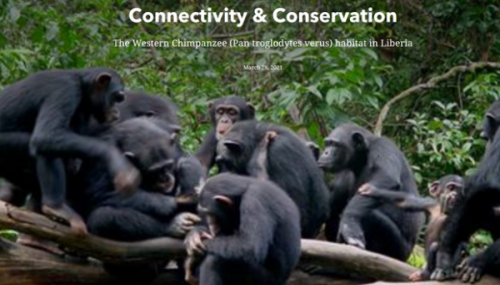 Connectivity and Conservation