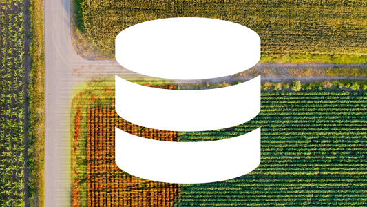 Database Icon