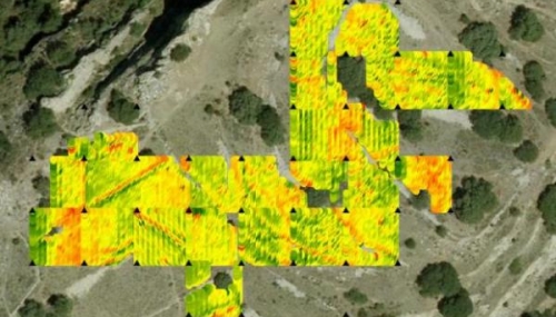 grid thumbnail image