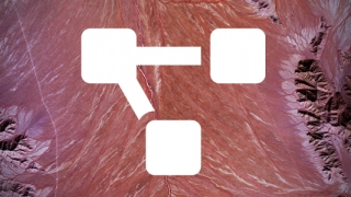Analysis Icon