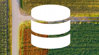 Database Icon